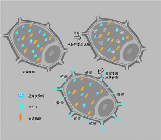 QQ圖片20160714200208.jpg