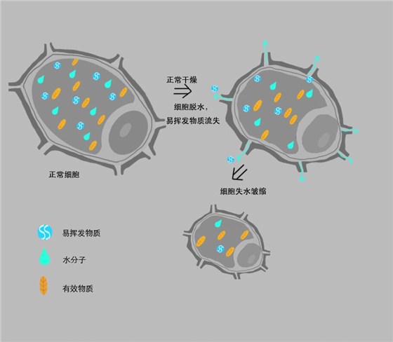 QQ圖片20160714200219.jpg