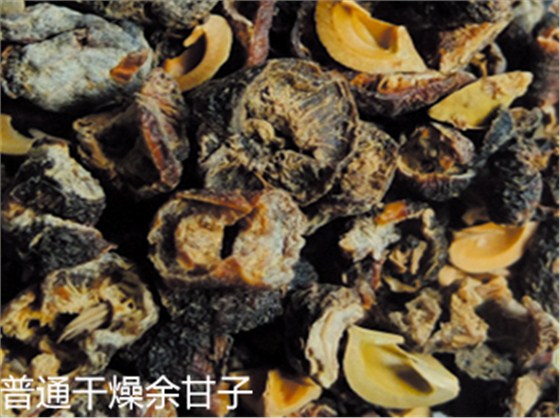 余甘子細(xì)節(jié)比對(duì)2