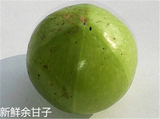 余甘子細(xì)節(jié)比對(duì)4